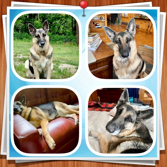 ! diane - Picture 1 of 9